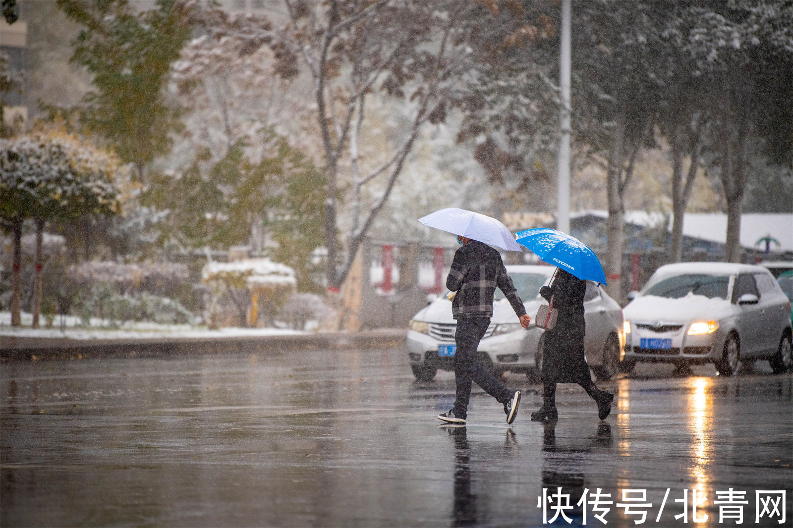 大雪|银川大雪纷飞！在2021年秋天的最后一天