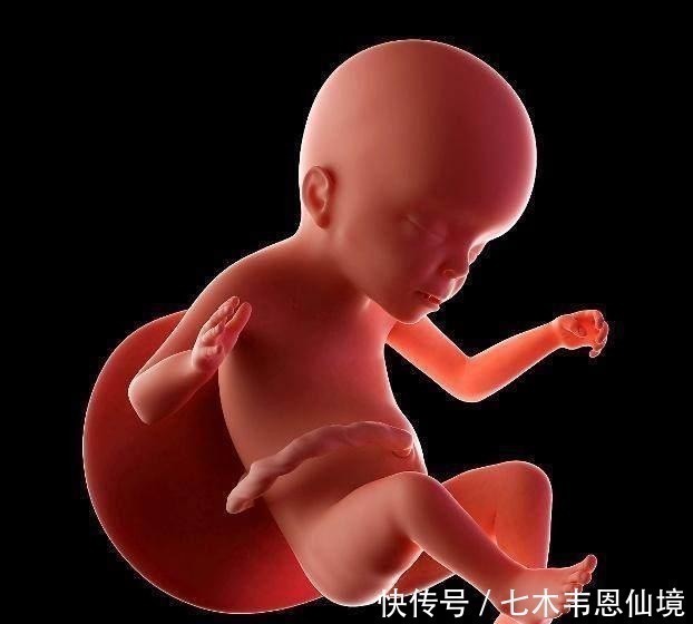 肚子|四维做到一半,小家伙竟然在妈妈腹中干“坏事”,连医生都乐了