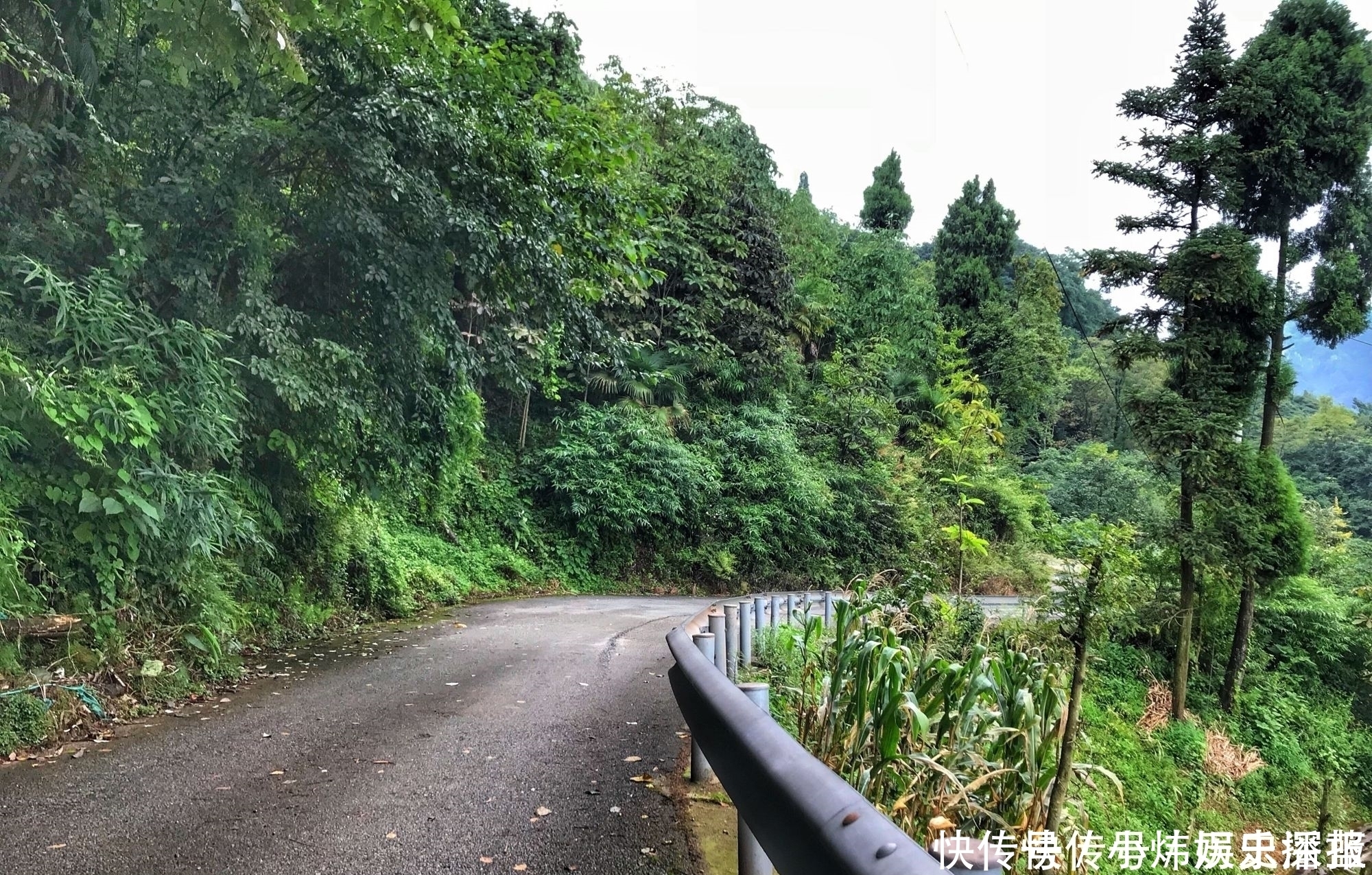 青城山景区之外的群山深处有座太清宫，如远离尘嚣的“世外桃源”