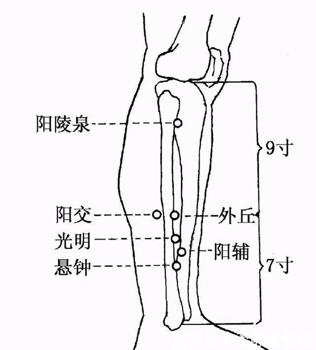 合穴|12合穴，为六腑打好基础，脏腑健康人才健康