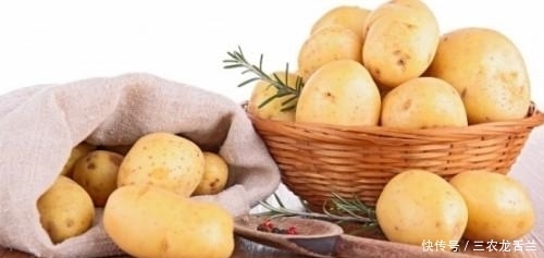 食物|有“胃病”的人, 这4种食物每天换着吃, 胃病不敢找上门!