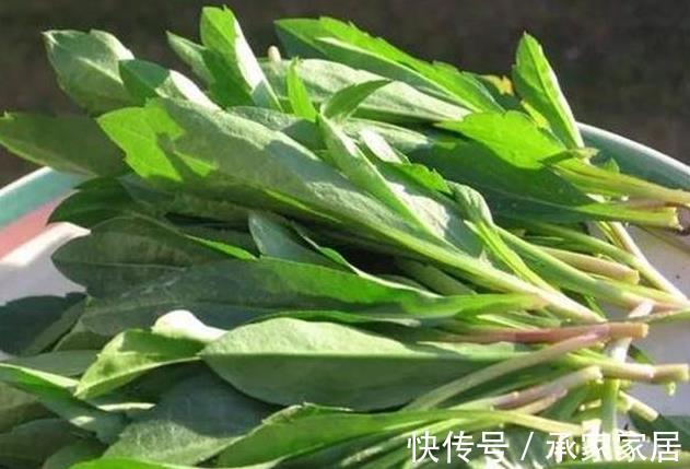 甜菜根|大热天，不妨多吃几种食物，开胃消食，排毒通便，早吃早好