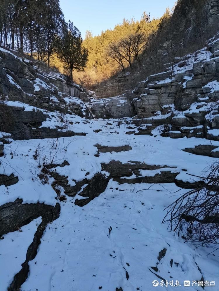 情报站｜踏雪走冰好去处，济南长尾巴沟寒流过后山野雪景格外洁净