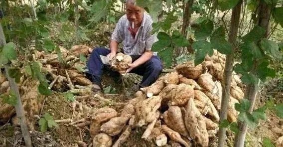 月经不调|女人月经量少,最好少吃这4种食物,可能会加速卵巢衰老!