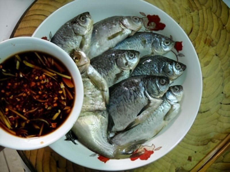 它是被人“误解”最多的鱼,比鲈鱼营养,只要5元一斤却无人问津