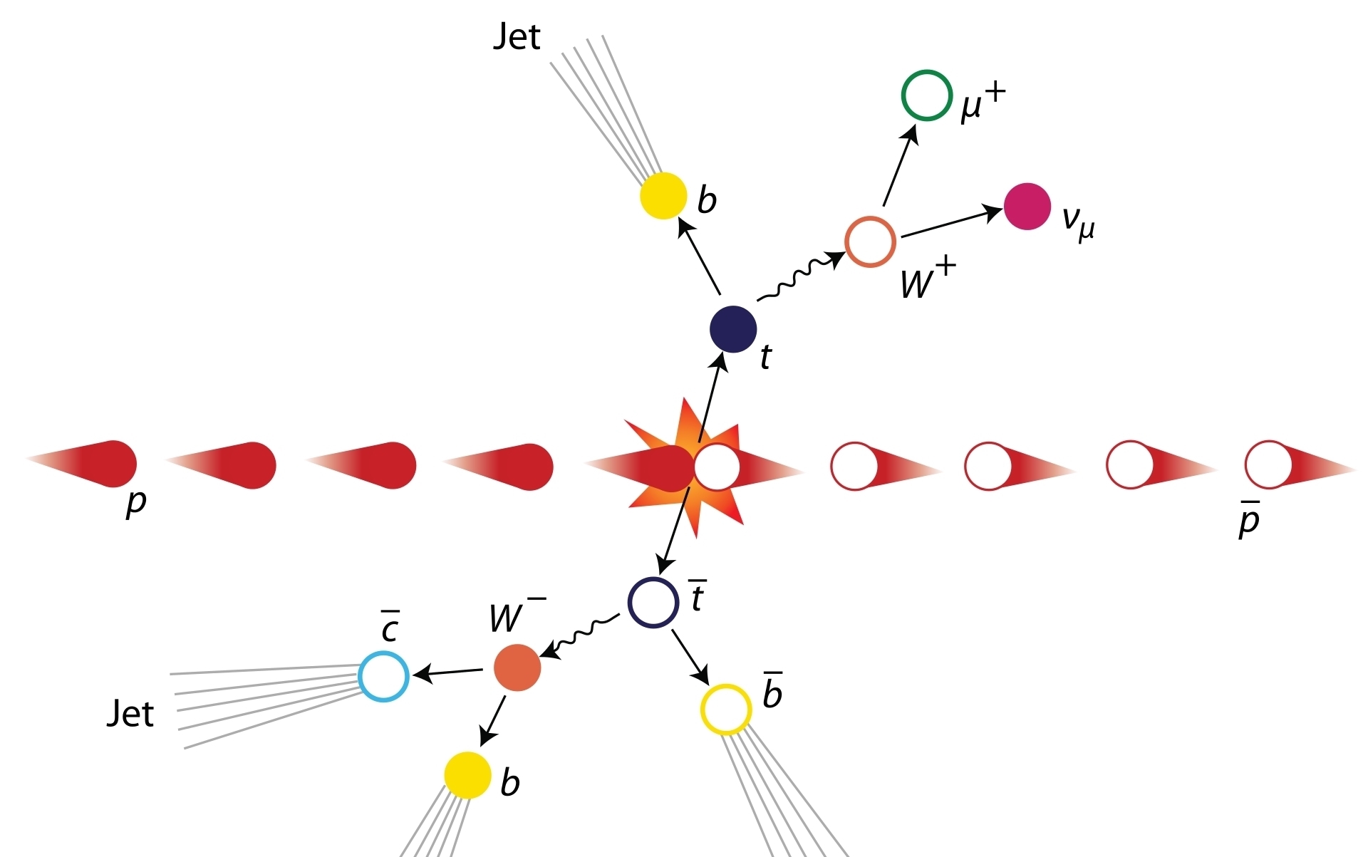 核-核碰撞中顶级夸克产生的第一个证据