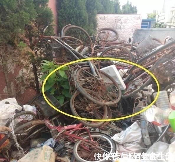 车轮|找到不属违建的阳光房了,用车轮做框架,不用一块玻璃盖成阳光房!