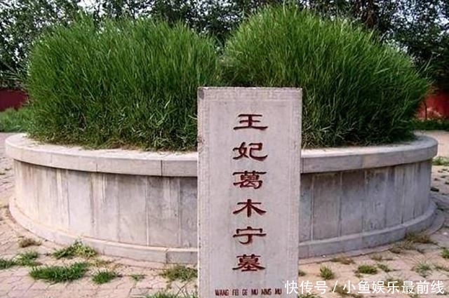 赵姬通奸造反,赢政暗通吕不韦设计镇压,残杀弟妹成必然!