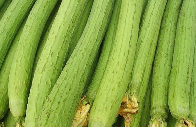 丝瓜藤|夏天吃丝瓜排毒护肝,好处多多,不过好吃归好吃,要注意禁忌!