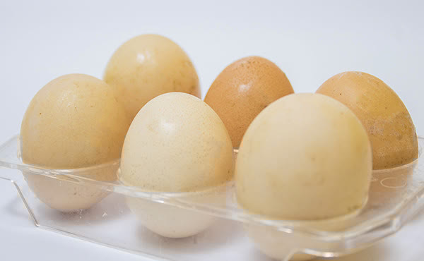 鸡蛋|高血脂，是一天吃一个鸡蛋好还是隔几天吃一个好？文中帮你分析