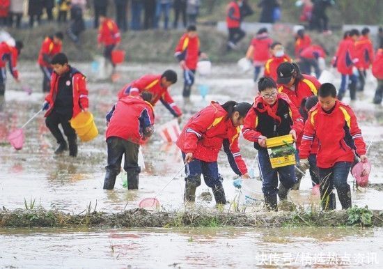 农产品|水乡文旅唱大戏