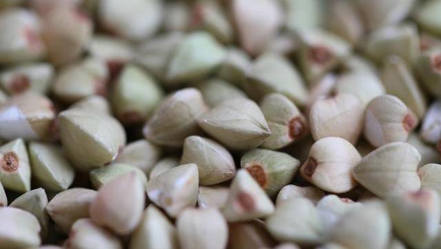 荞麦|天然“散结水”被找到了，没事常喝点，活血散结，结节或慢慢变小