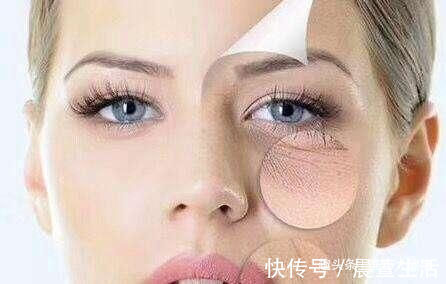 食物|皱纹“最怕”的几种食物, 女人要常吃, 每一口都是满满的胶原蛋白