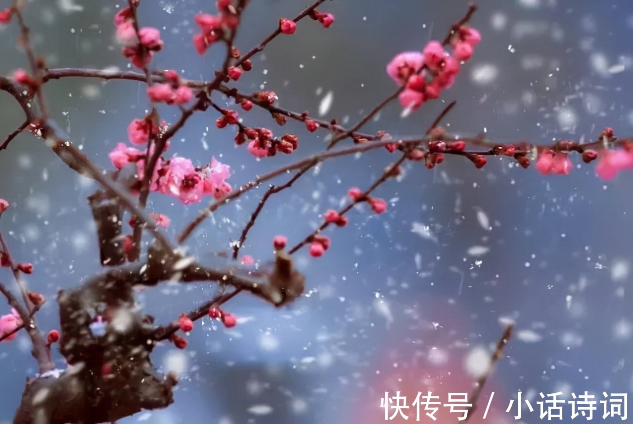 词人@姜夔在苏州赏梅时,一连写下两首咏梅词,为何都能好评如潮?