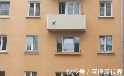 头一次见到有人装修直接把阳台切掉,这样装真的可以吗