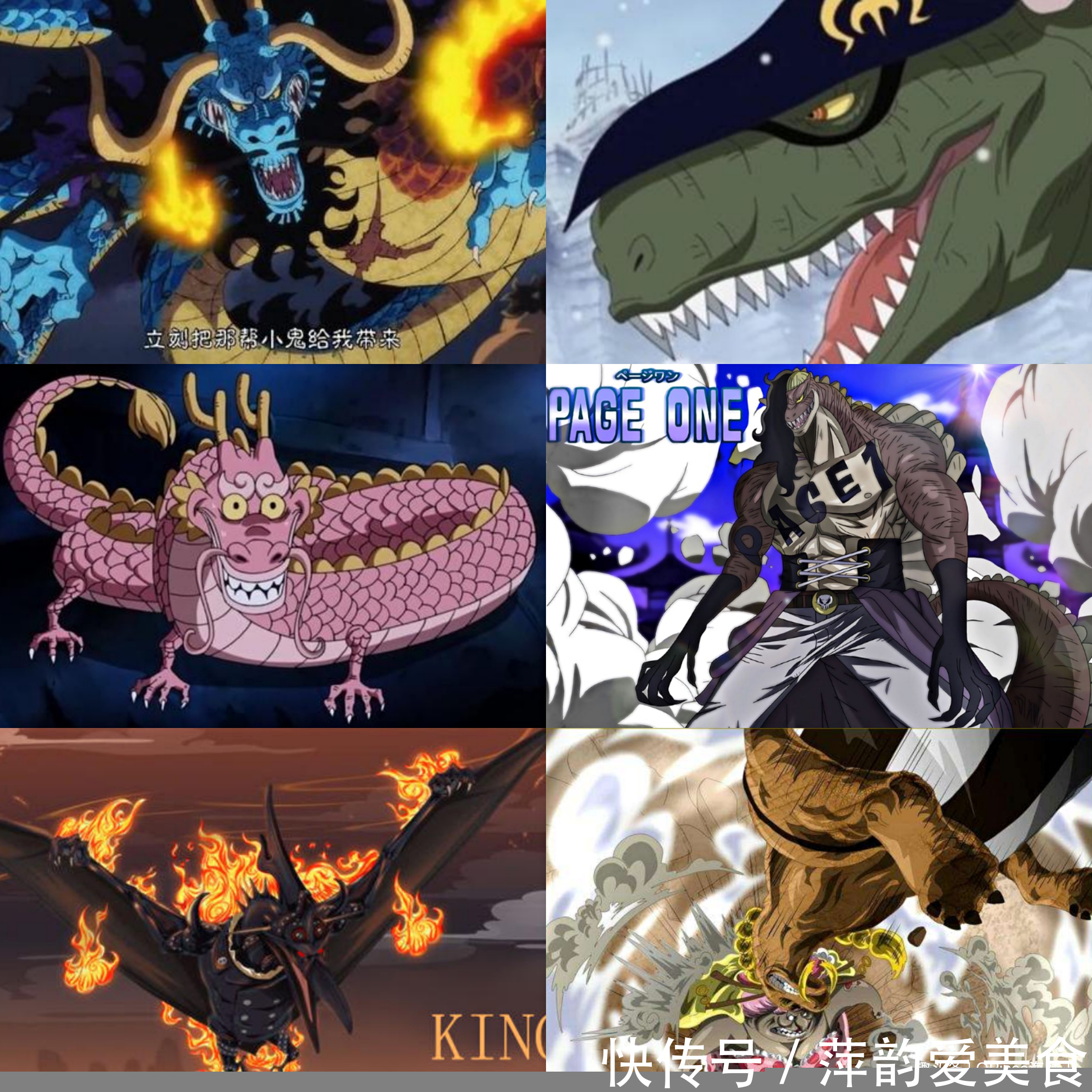 九尾狐|海賊王:奇妙的動物系,同名果實存在多種形態!龍龍果實多達5顆