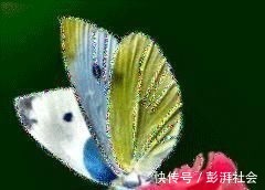 人心!良言20句,见证人心,看透人性看一次胜读十年书