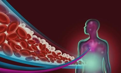 高血脂|甘油三酯偏高就是高血脂了？提醒：若未超过这个数，或无需担心