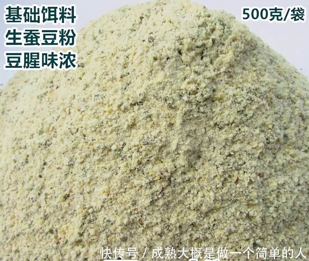 玉米面饵|廉价的自制饵料,竟是大鱼克星?“玉米面饵”的妙用很少有人知道