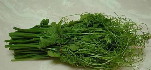 营养|40岁女性不妨多吃3种食物，补充营养、延缓衰老，早吃早健康！