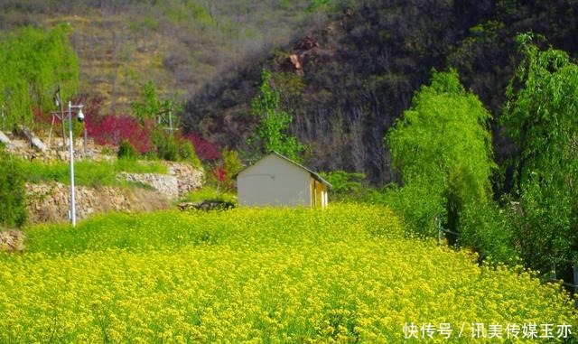 自驾游常馨谷：追寻春天最后一抹油菜花