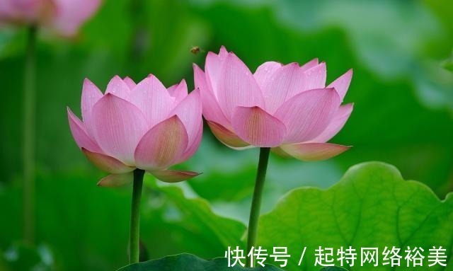 福运$老祖宗:积“阴德”的3件事,常做福运不请自来,你做了几件?