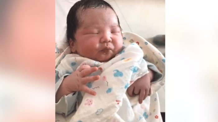 母乳喂养|妈妈喂刚出生的宝宝吃奶，那叫一个香啊，网友：看得我都饿了