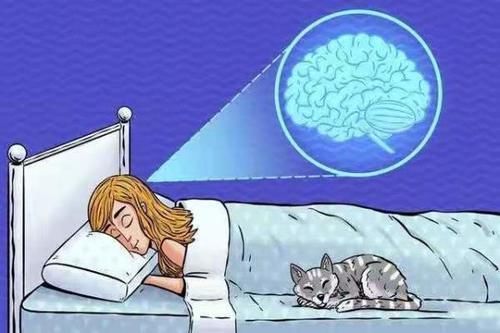 睡眠|睡眠对人体有什么重要作用？失眠有哪些内在因素？