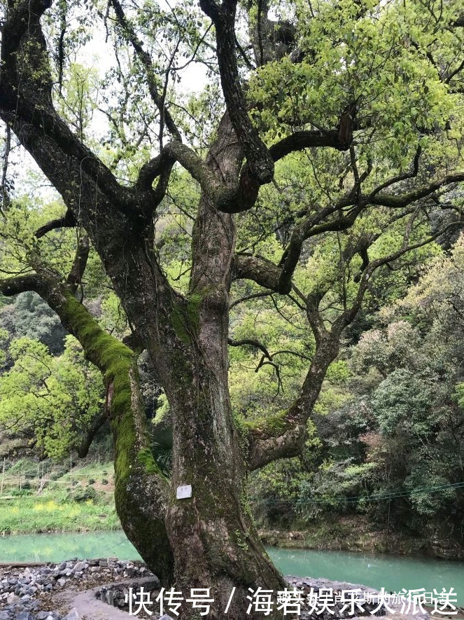 中国最圆的古村落，被山水环抱似八卦图腾，藏在江西却鲜少有人知