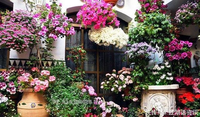 不一样的“庭院花园”，花草都上了墙