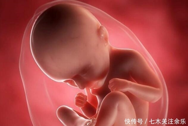 dh十月怀胎,胎儿啥时候开始“长肉”?早知道早准备,别拖胎儿后腿