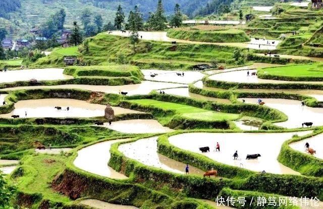 官僚地主|南宋初年钟相、杨幺起义,是封建社会阶级矛盾发展到新阶段的反映