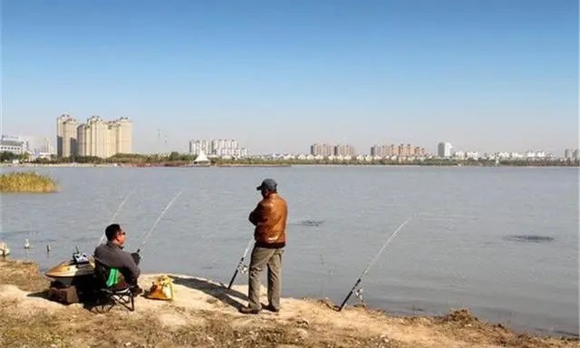 遇见大鱼打桩,不想切线或者断竿,这样做就能搞定!