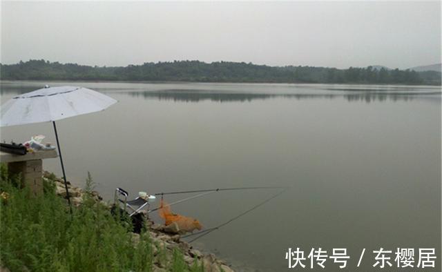 觅食|秋天钓鱼莫心急,过了秋分才是最佳时机,常用这些招数大鱼连竿上
