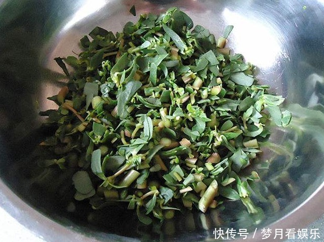 把新鲜|当季遍地都是的一种野菜,又是“五行俱全的长寿菜”,专治老年病