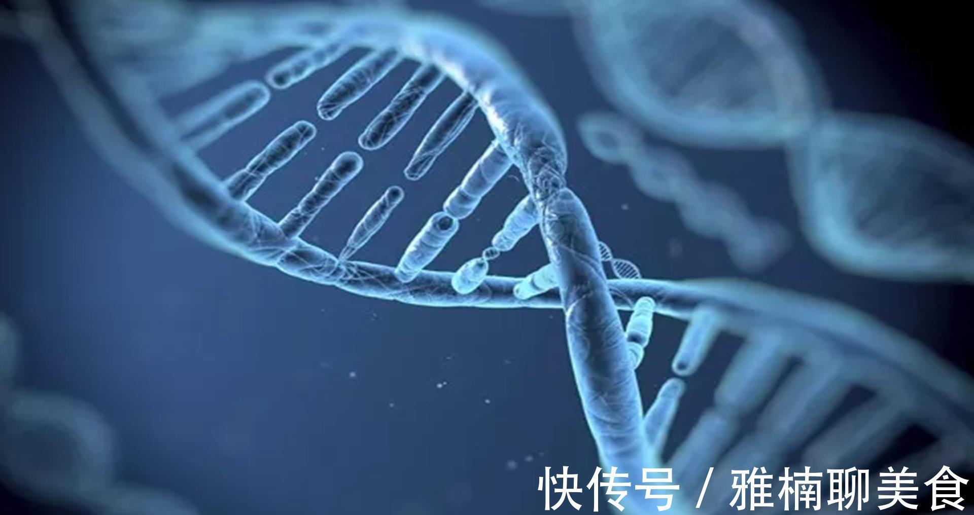 骨骺|你有孩子比同龄人矮一截的烦恼吗?孩子长高,来个专业分析