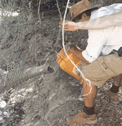 |搞笑GIF趣图:点个眼药水也疼,你骗谁呢