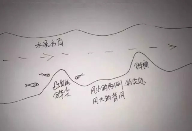 不知道鱼儿藏在哪儿？我帮你画了5张图，随便挑一个就能爆护