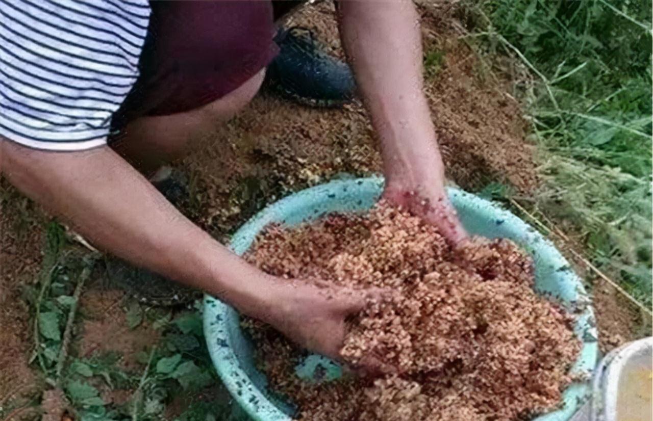 五至八度的冬天,到底还能不能钓到鲢鳙