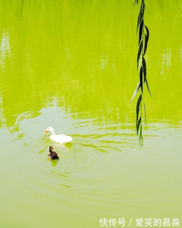 画堂|每日一词《踏莎行》赏析