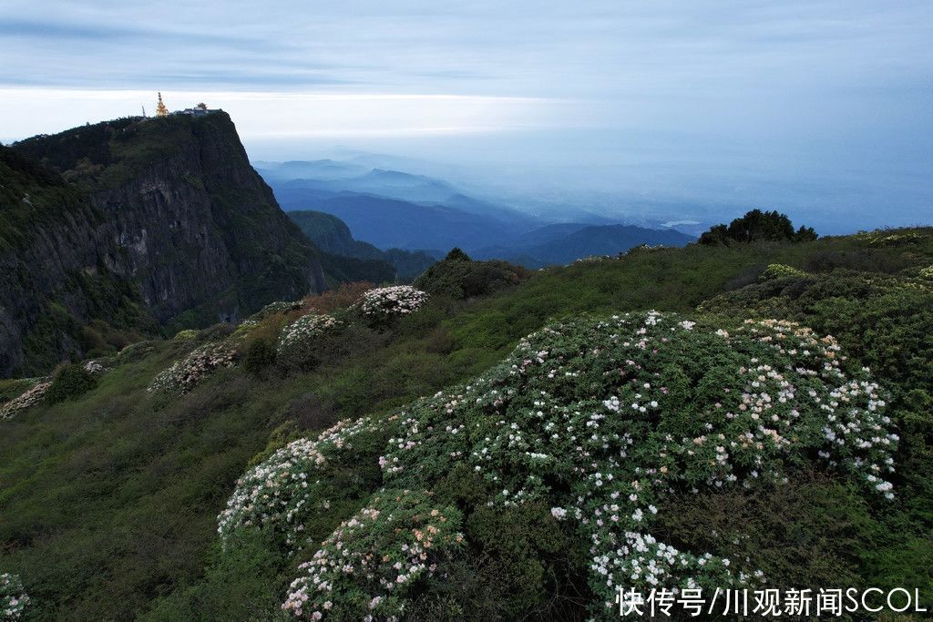 万佛阁|时隔15年，峨眉之巅万佛顶重新开放