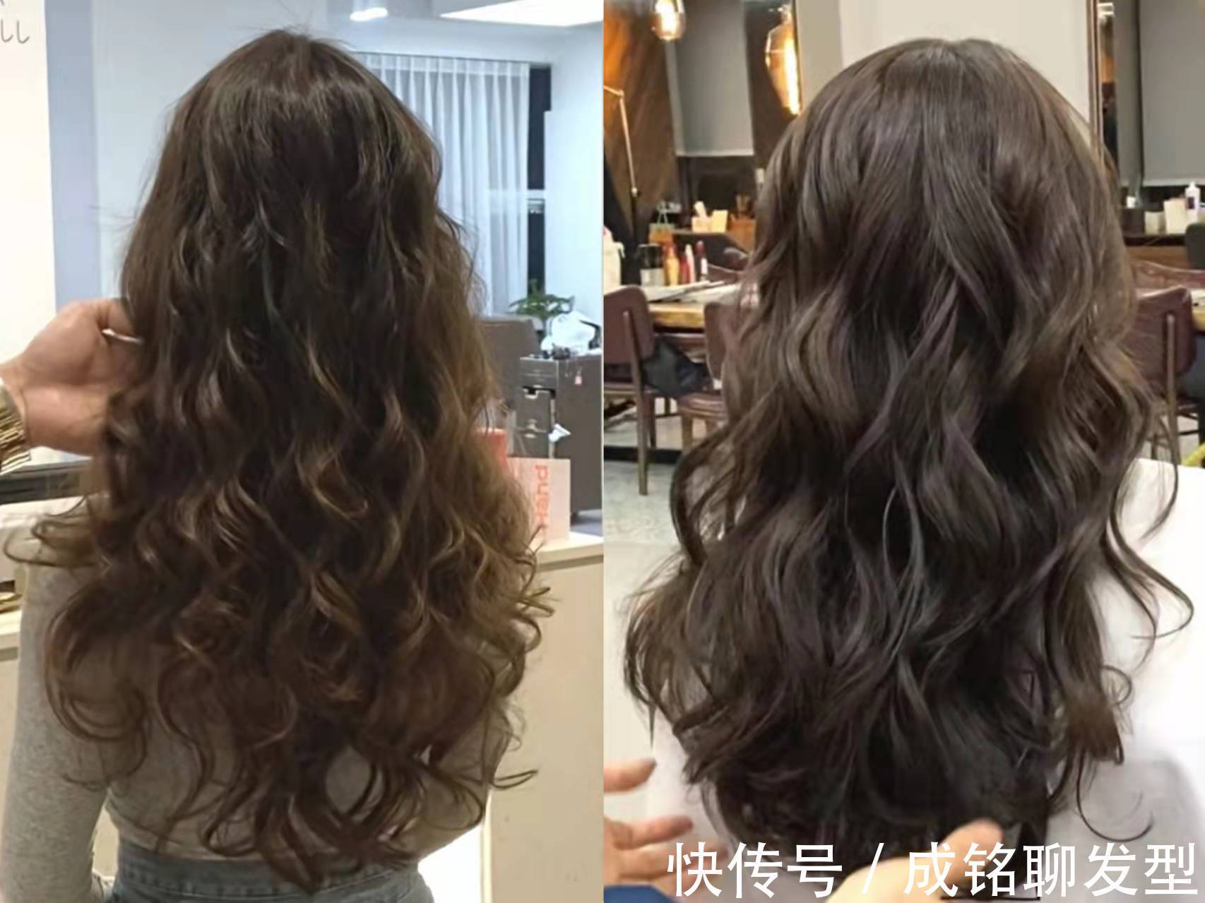 蛋蛋卷|羊毛卷、绵羊卷、法式卷、蛋蛋卷有什么不同?看这三点烫发不迷路