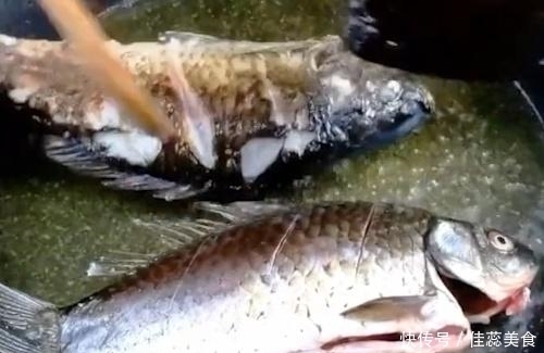  成本|无论炖什么鱼，别只会加水了！加点它，鱼汤更白更香，成本只3元