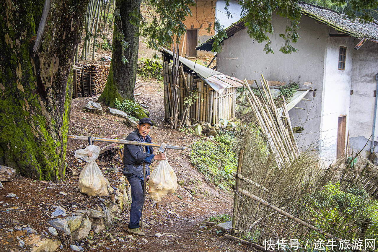 严池村，皖南的“龙脊梯田