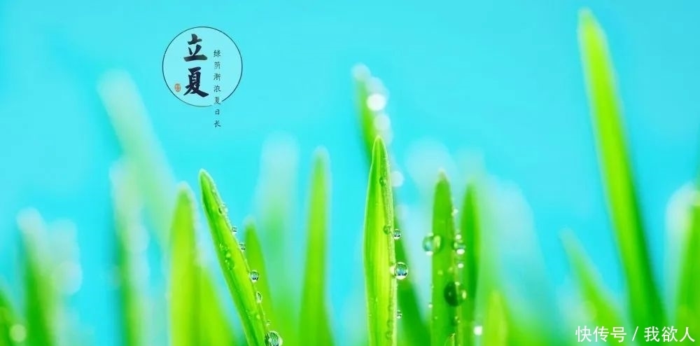 萌妹|不想瞒了！今天起蒙山人开始“迎夏”