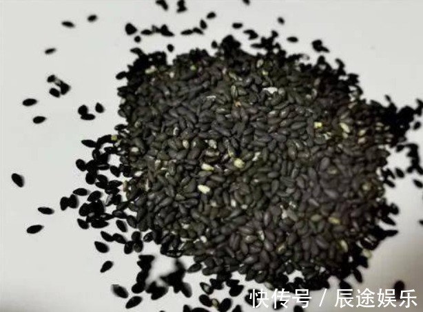 含有|大脑偏爱这7种食物,经常吃的人,老了记忆力也跟年轻人一样好