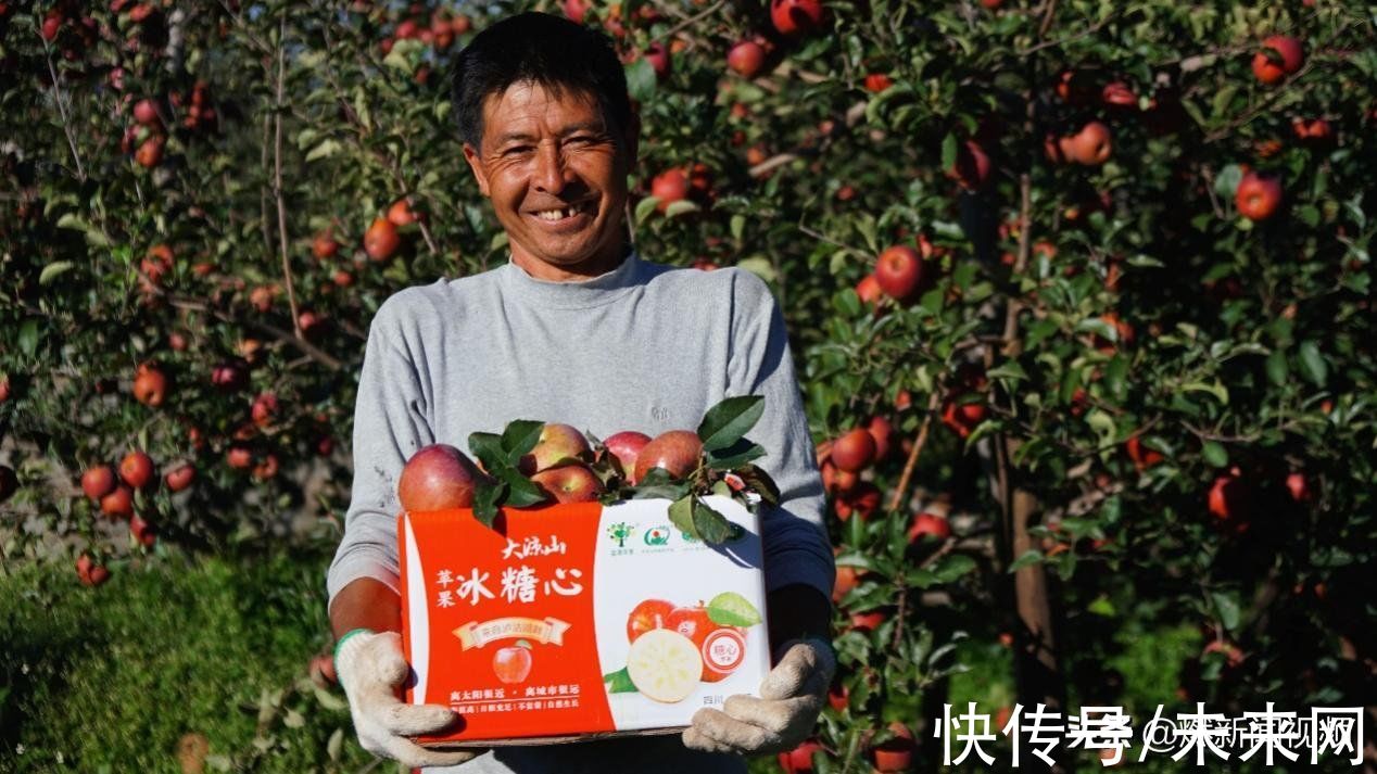 苹果|拼多多11.11玩法来了！携手百家官旗品牌，补贴加码优质国货、农产品