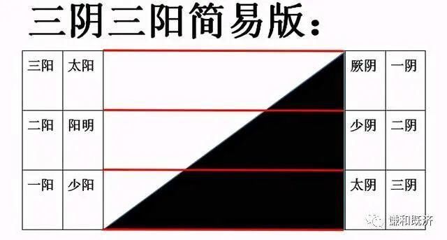  表里的关系|心与小肠互为表里，心是阴火，小肠是阳火