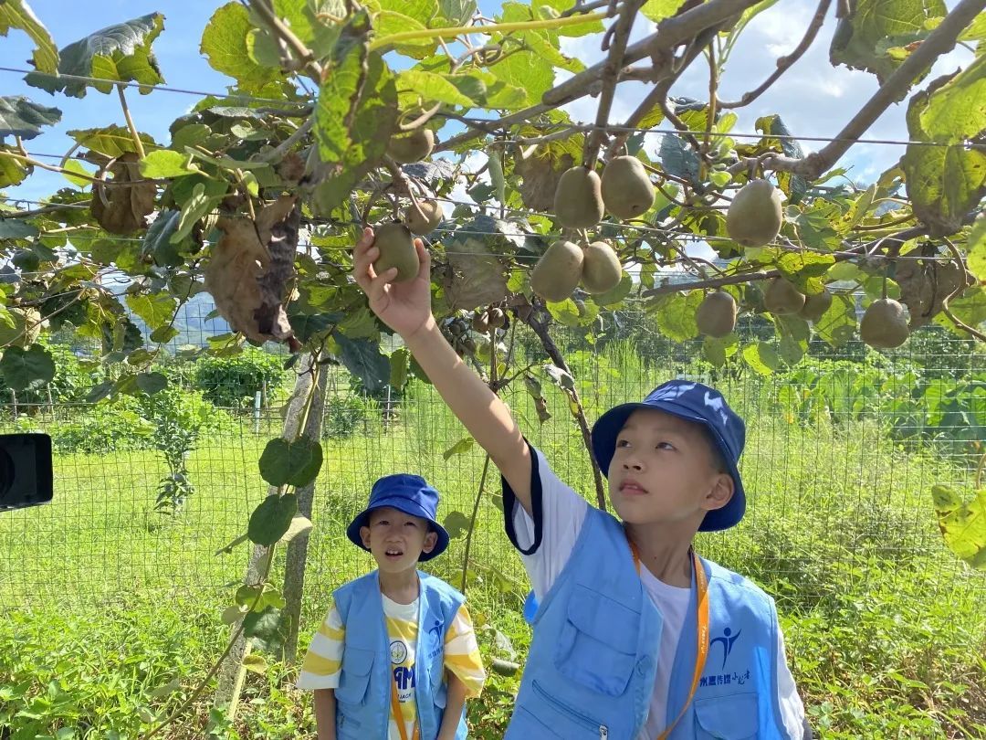 稿件|播音主持、采访直播...课余活动居然能这么丰富！很多家长已经报名→