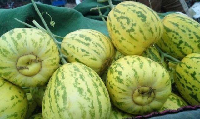 木耳科|女性担心变黄脸婆，学会吃4种食物，排毒养颜，抗衰老，滋养肌肤